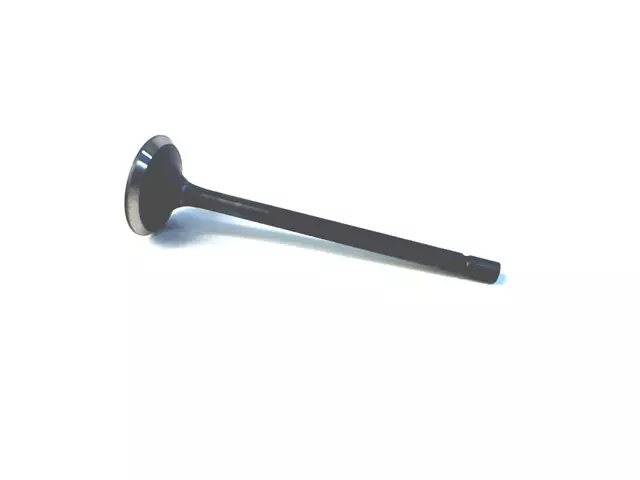 Exhaust Valve