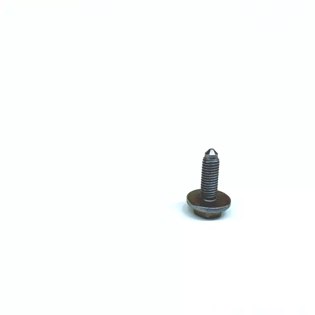 Hinge Bolt