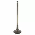 Exhaust Valve