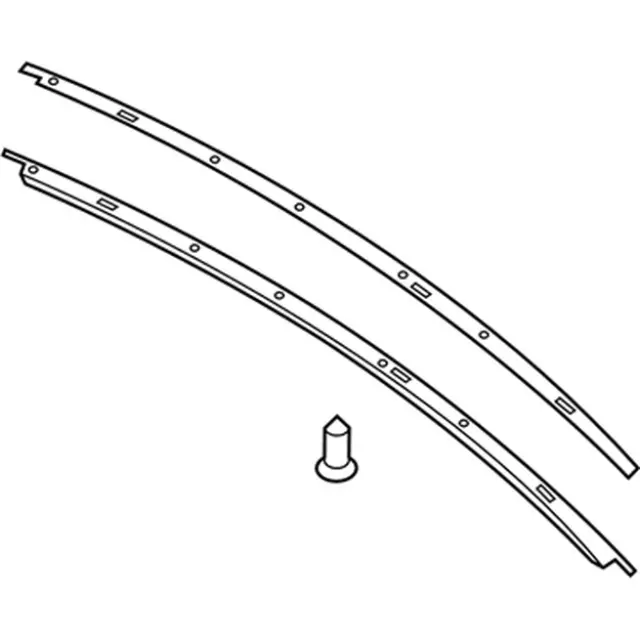 2015-2023 Ford Mustang Roof Molding FR3Z-6302565-E | Ford OEM 
