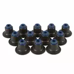 2013-2021 Ford - Valve Seals