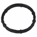 2011-2024 Ford - Front Cover Gasket