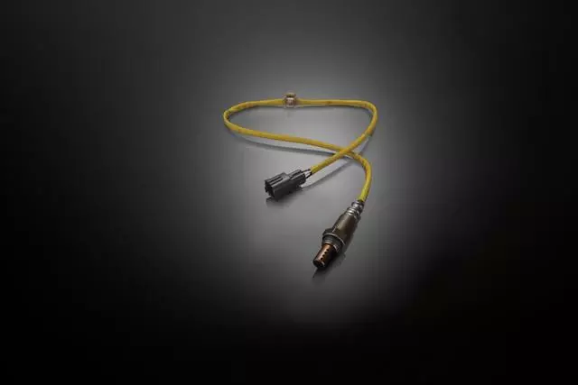 Oxygen Sensor