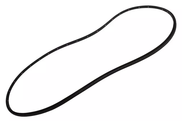 Front Driver Side Door Weatherstrip