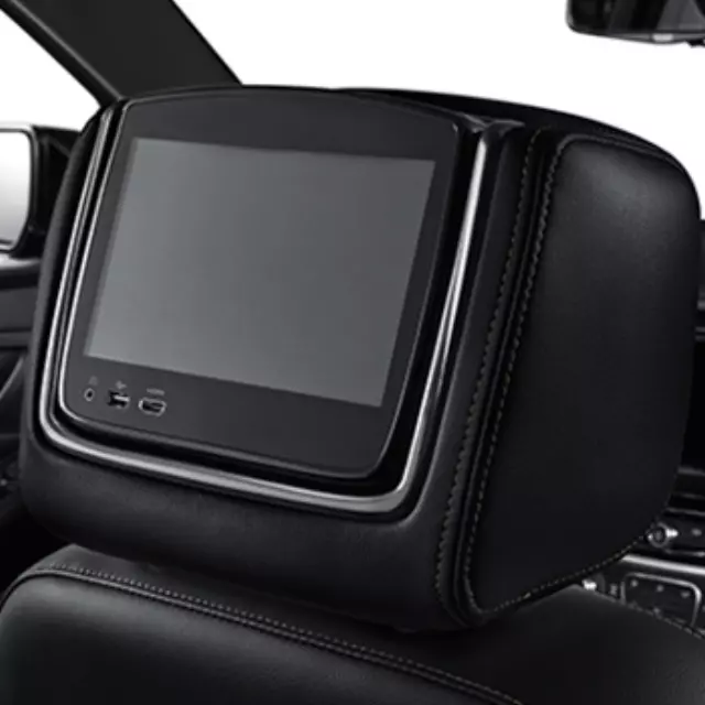 Headrest and Video Screen Assembly - GM (84346903)