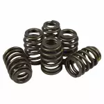 Valve Springs