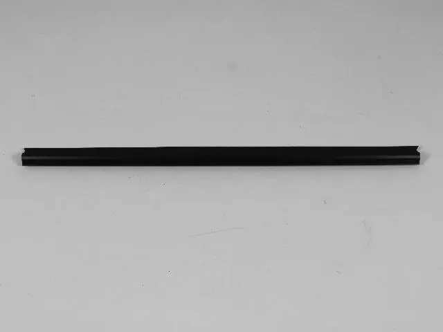 Door Belt Inner Weatherstrip, Right Or Left