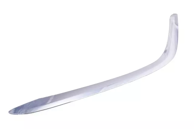 Molding-Frt Bpr Fascia Otr Ins