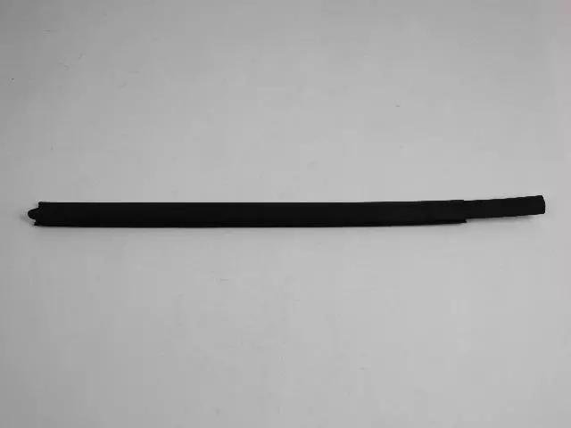 Rear Door Belt Outer Weatherstrip, Left