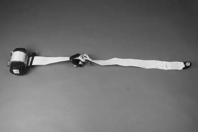 1st Rear Outer Seat Belt, Right