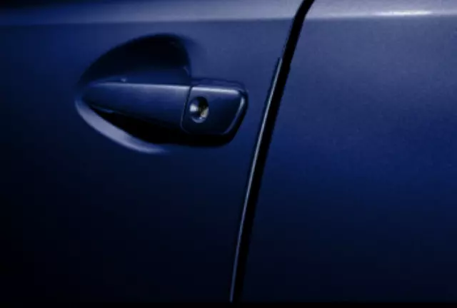 Door Edge Guards, Voodoo Blue