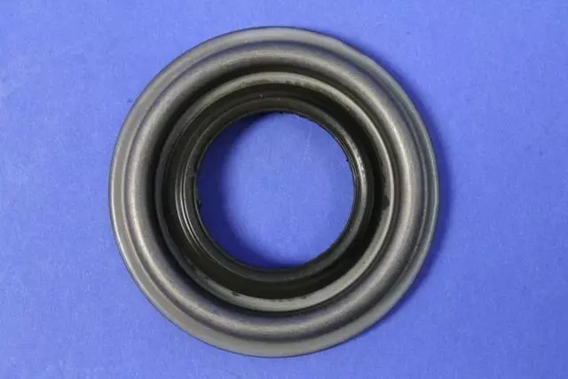Pinion Seal