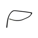 Glass Run Seal, Left