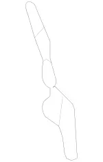 Engine Oil Filter Adapter Gasket