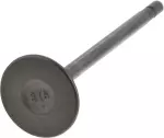 Exhaust Valve