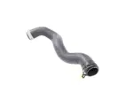 Radiator Outlet Hose