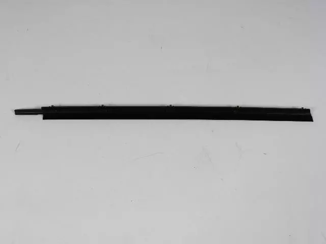 Door Belt Weatherstrip, Left