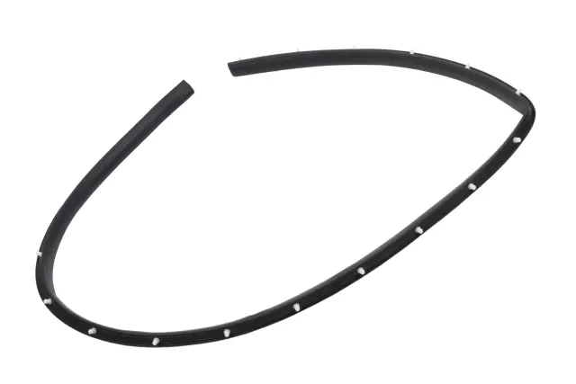Driver Side Door Window Belt Weatherstrip