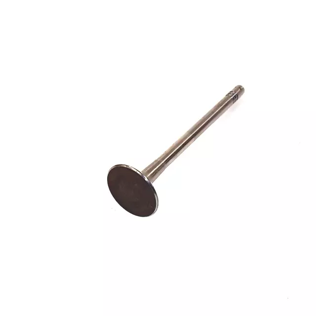 Exhaust Valve