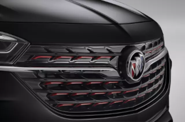 Grille With Ebony Twilight Surround