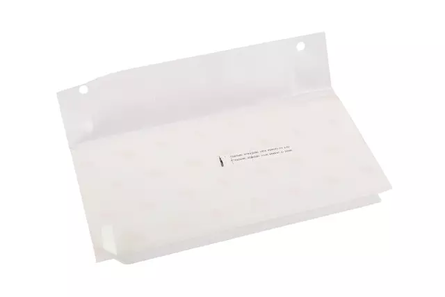 Passenger Side Rocker Panel Rear Molding Protector