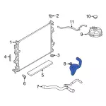 2021-2024 Ford Bronco Sport - Lower Hose