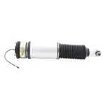 OESpectrum Air Suspension Strut