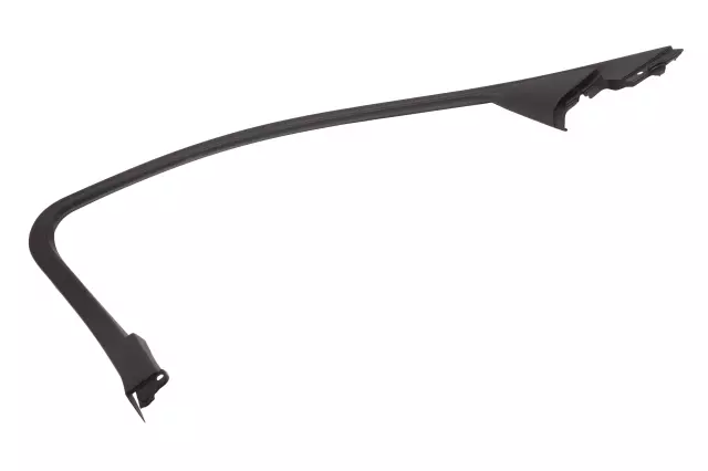 Driver Side Front Door Window Garnish Molding