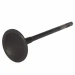 Engine Exhaust Valve