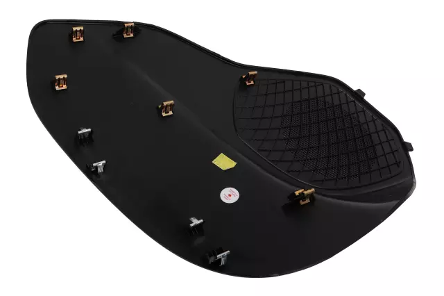 Jet Black Driver Side Quarter Trim Panel Insert