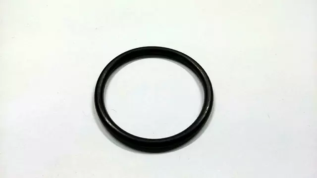Filter Assembly O-Ring