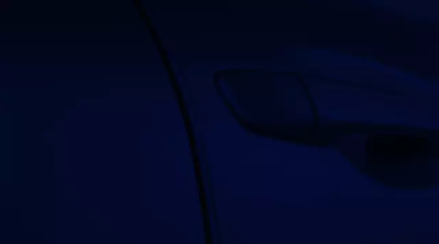 Door Edge Guards - Nightfall Mica