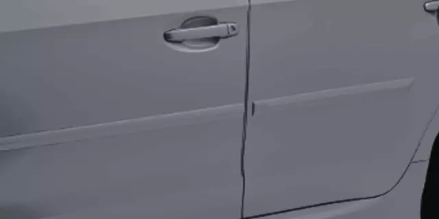 Door Edge Guard - Magnetite Gray Metallic