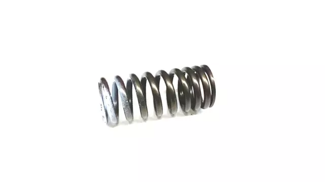 Valve Springs
