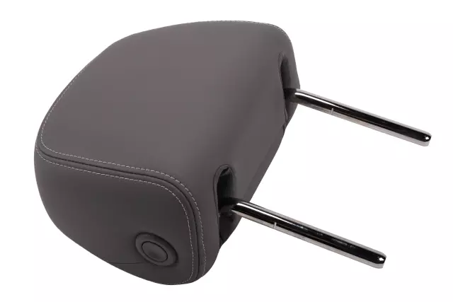 Titanium Front Seat Head Restraint