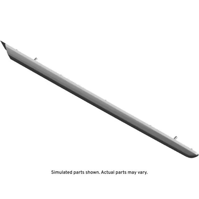 Rear Driver Side Door Molding