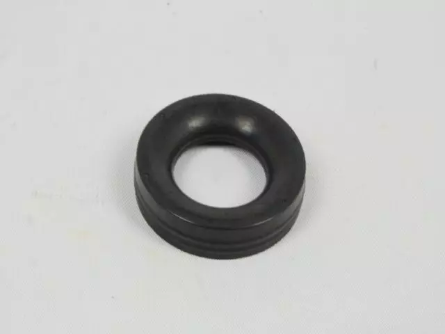 Spark Plug Tube Seal, Right Cylinder Head