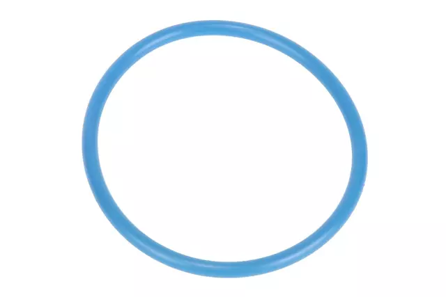 Fuel Tank Sending Unit O-Ring