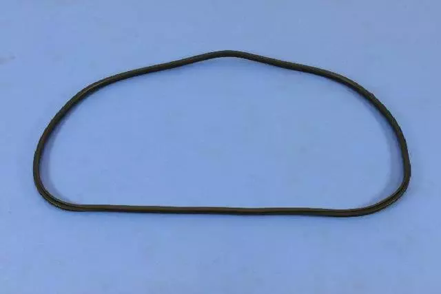 REAR DOOR SILL SECONDARY - W/STRIP | Mopar 55399174AE