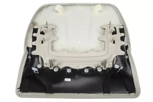 Very Light Platinum Passenger Seat Back Cushion Finish Panel