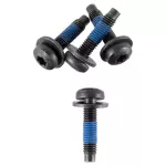 Rear Support Lower Bolt