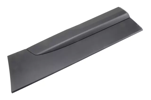 Black Rear Driver Side Door Molding
