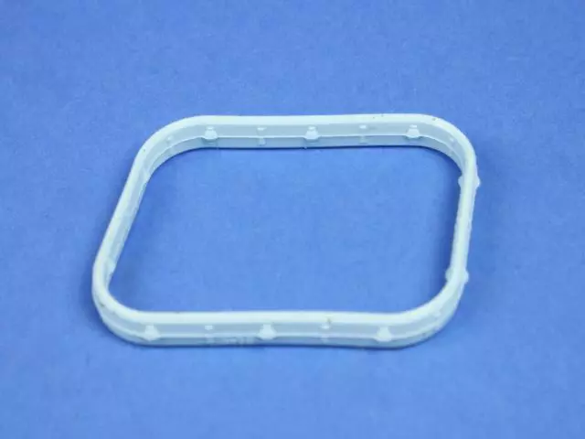 Intake Manifold Seal