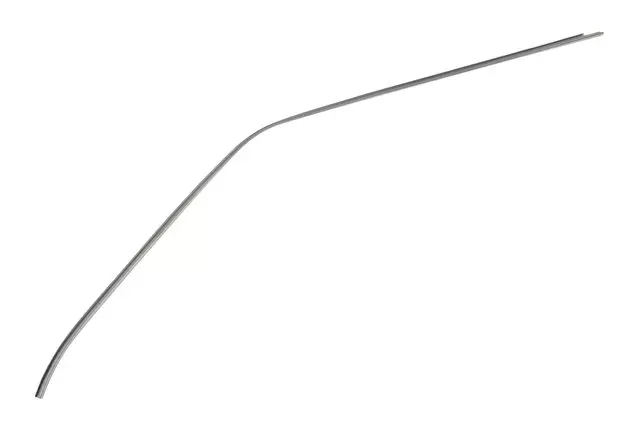 Driver Side Rear Door Weatherstrip Retainer