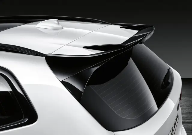 51192464329 - 2022-2024 BMW X3 M Performance Black High Gloss Roof