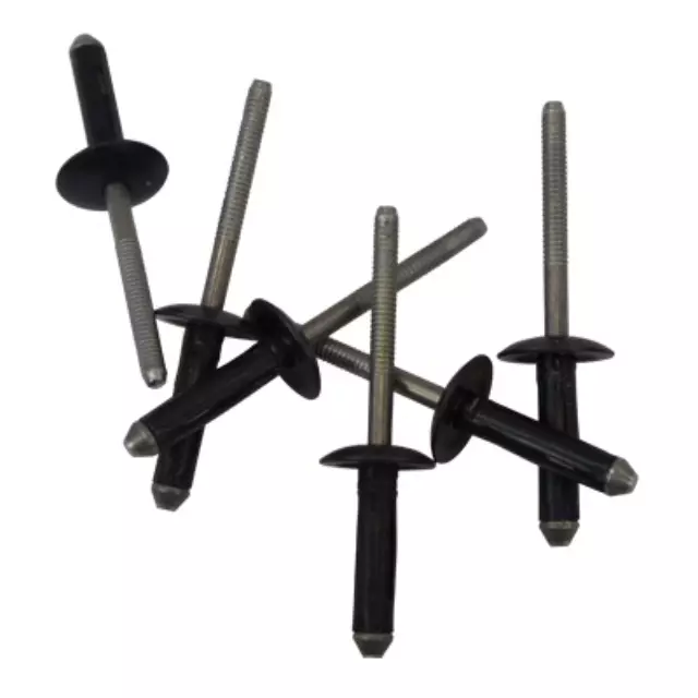 19992018 Ford License Plate Bracket Rivet N811018S100 QuirkParts