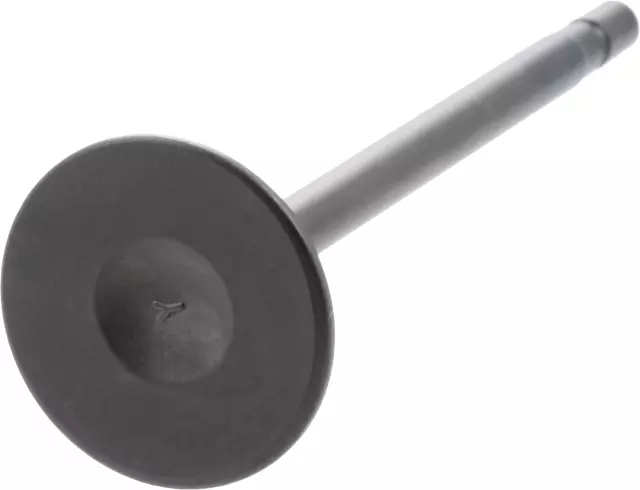 Exhaust Valve