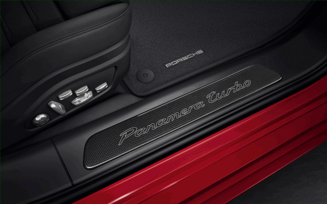 Door Entry Guards In Carbon