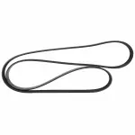 Motorcraft™ Serpentine Belt