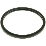Engine Coolant Thermostat Seal